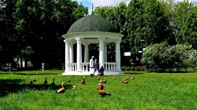 Ротонда тип 4, 8 колонн, диаметр 5000 мм Высота: 3620 мм, прямая, без купола, с тумбой