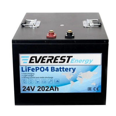 Everest Energy LFP-24V202Аh литиевый тяговый аккумулятор 